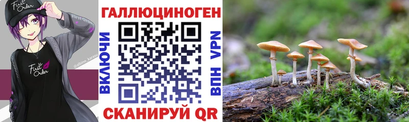 Псилоцибиновые грибы прущие грибы  Байкальск 